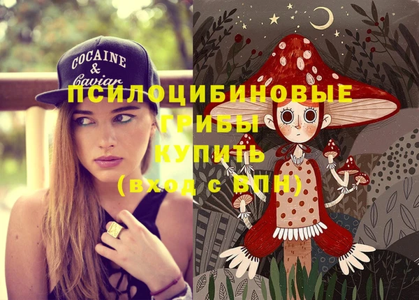 мескалин Алексин