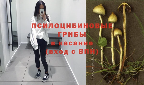 мескалин Алексин